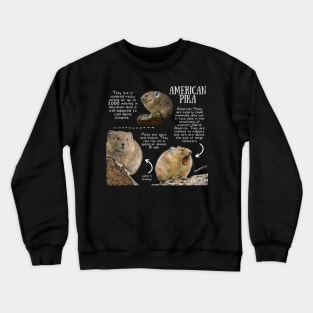 Animal Facts - Pika Crewneck Sweatshirt